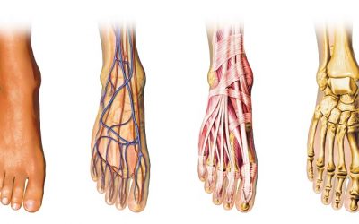 Podiatry and Your Veins