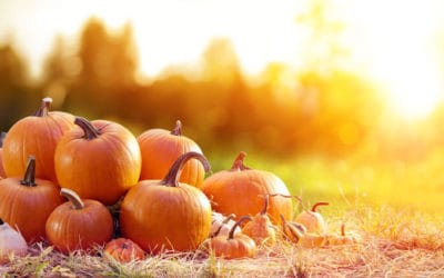 The Benefits of Pumpkin for Your Skin