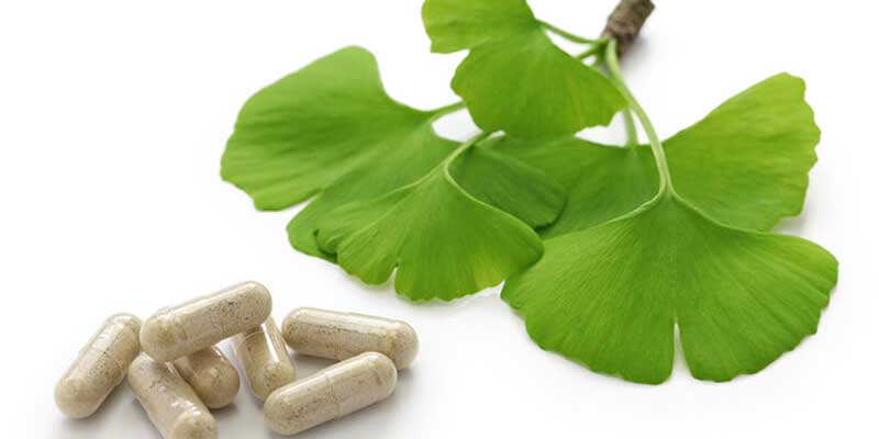 An image of Ginkgo Bilboa in raw form and in the form of oral tablets