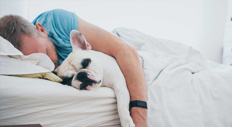 A man sleeping in bed with his arm around his dog